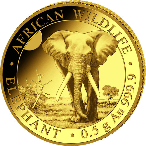 Goldmünze somalia elefant 5 - somalia, 0,5